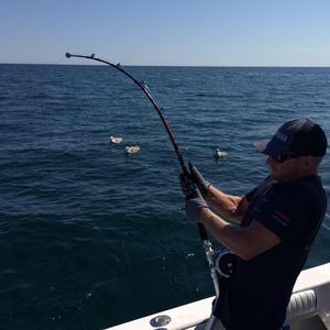 Meet your Posher, Max